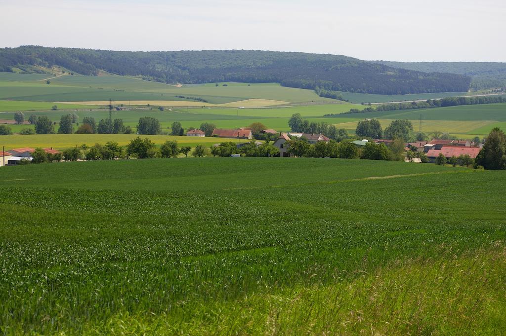 ジート オ シャレー Laferté-sur-Aube 部屋 写真